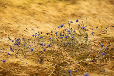 Similar image 8342423