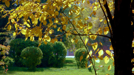 Similar image 8342448