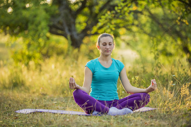 Similar image 8342451