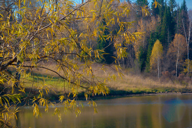 Similar image 8342466