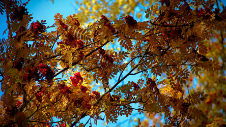 Similar image 8342467