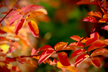 Similar image 8342468