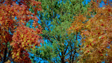 Similar image 8342470