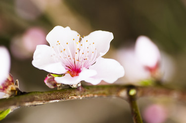 Similar image 8342644