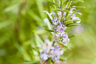 Similar image 8342649