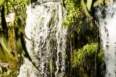 Similar image 8342654