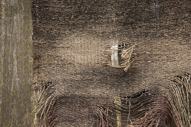 Similar image 8342680