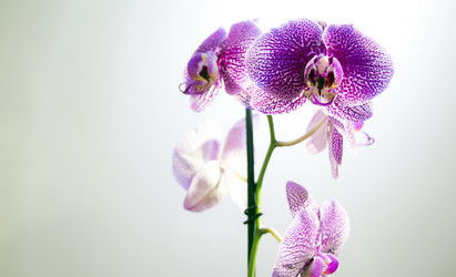 Similar image 8342681