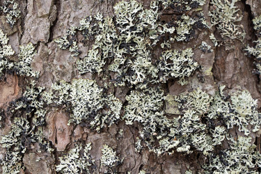 Similar image 8342700