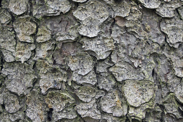 Similar image 8342703