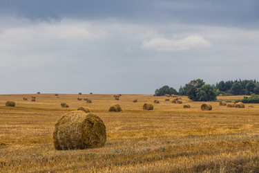 Similar image 8342715