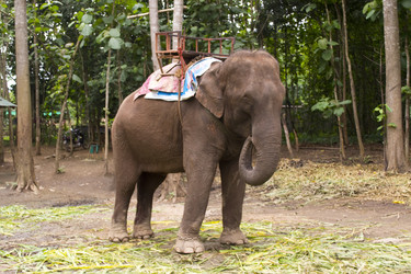 Similar image 8342740