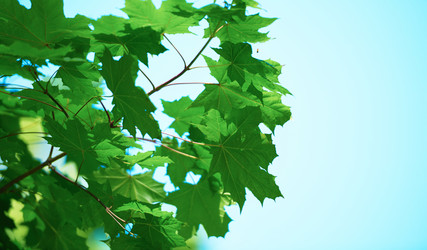 Similar image 8343177