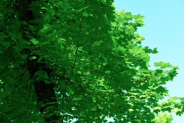 Similar image 8343178