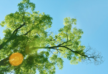 Similar image 8343192