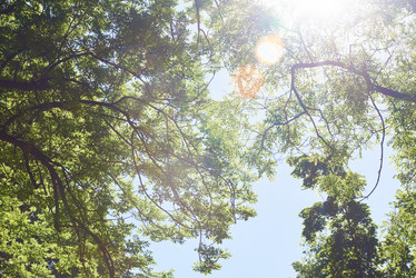 Similar image 8343195