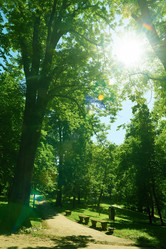 Similar image 8343197