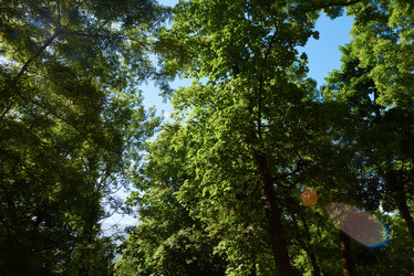 Similar image 8343201