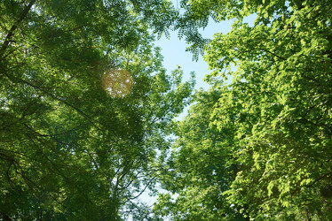 Similar image 8343205