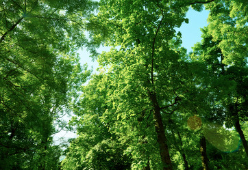 Similar image 8343206