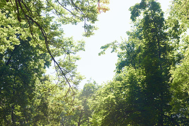 Similar image 8343207