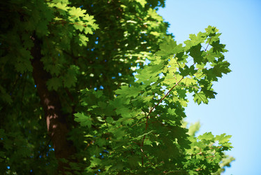 Similar image 8343210