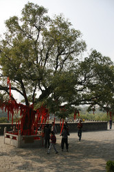 Similar image 8343216