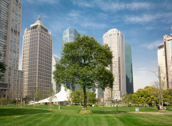 Similar image 8343250