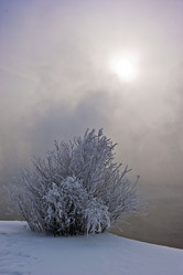 Similar image 8343264