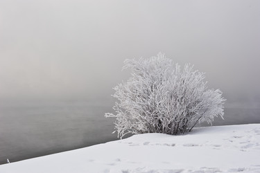 Similar image 8343322