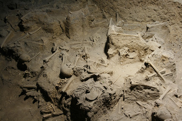 Similar image 8343354