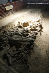 Similar image 8343355