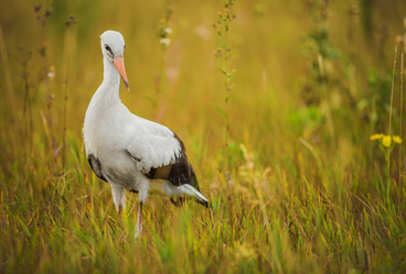 Similar image 8344005