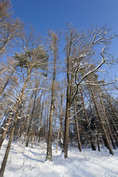 Similar image 8344028