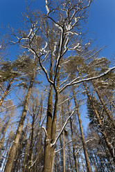 Similar image 8344034