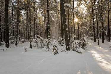 Similar image 8344035