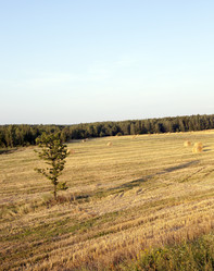 Similar image 8344045