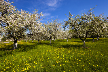 Similar image 8344049