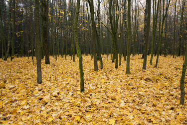 Similar image 8344053