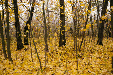 Similar image 8344064