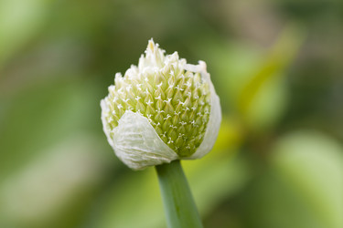 Similar image 8344829