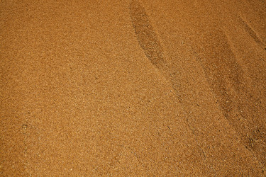 Similar image 8344856