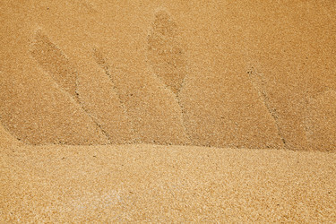 Similar image 8344857