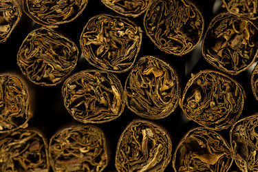 Similar image 8344861