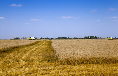 Similar image 8344862