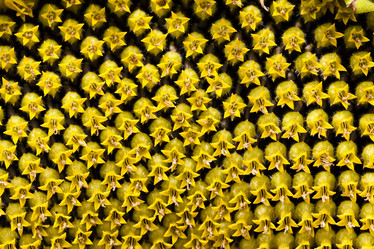 Similar image 8344876