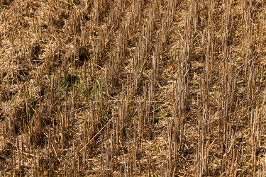 Similar image 8344899