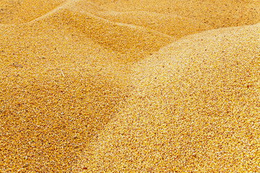 Similar image 8344932