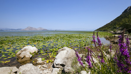 Similar image 8344938