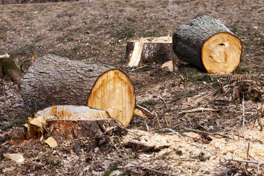 Similar image 8344940